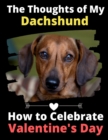 The Thoughts of My Dachshund : How to Celebrate Valentine's Day - Book