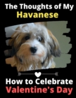 The Thoughts of My Havanese : How to Celebrate Valentine's Day - Book
