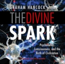 The Divine Spark - eAudiobook
