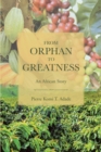 From Orphan to Greatness : An African Story - eBook