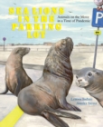 Sea Lions in the Parking Lot : Animals on the Move in a Time of Pandemic - Book