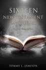 Sixteen New Testament Mysteries : The Deep things of God - Book
