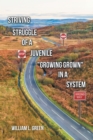 Striving Struggle of a Juvenile "Growing Grown" in a System - eBook