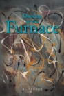 Dancing in the Furnace - Book
