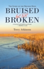 Bruised but Not Broken : The Story of the Bruised Reed - eBook