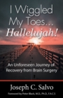 I Wiggled My Toes ... Hallelujah! : An Unforeseen Journey of Recovery from Brain Surgery - Book
