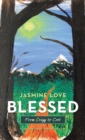 Blessed : From Crazy to Cool - eBook