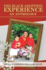 The Black Adoption Experience an Anthology - eBook