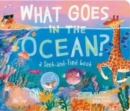 What Goes in the Ocean? : A Seek-and-Find Book - Book