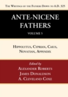 Ante-Nicene Fathers : Translations of the Writings of the Fathers Down to A.D. 325, Volume 5 - Book