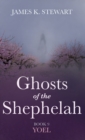 Ghosts of the Shephelah, Book 9 - Book