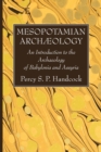 Mesopotamian Archaeology - Book
