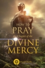 How to Pray the Chaplet of the Divine Mercy - Book