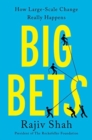 Big Bets : How Large-Scale Change Really Happens - Book
