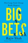 Big Bets : How Large-Scale Change Really Happens - eBook
