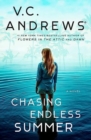 Chasing Endless Summer - Book