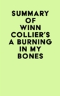 Summary of Winn Collier's A Burning in My Bones - eBook
