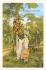 Vintage Journal Senorita with Papaya Tree, Southern Texas - Book