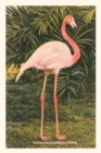 Vintage Journal Flamingo - Book