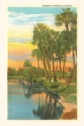 Vintage Journal Sunset, Palm Trees, Florida - Book