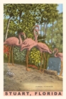 Vintage Journal Flamingos - Book