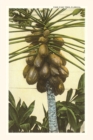Vintage Journal Papaya Tree, Florida - Book