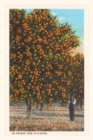 Vintage Journal Orange Trees - Book
