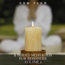 A Guided Meditation for Beginners - Volume 1 - eAudiobook