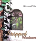 Stripped Windows - eBook