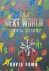 The Next World - Book