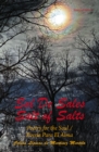 Sal De Sales : Salt of Salts - eBook