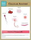 Cellular Anatomy (Speedy Study Guide) - Book