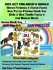Box Set Children's Books: Horse Pictures & Horse Facts - Sea Turtle Picture Book For Kids & Sea Turtle Facts & Cat Humor Book: 3 In 1 Box Set: Intriguing & Interesting Fun Animal Facts - Discovery Kid - eBook