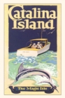 Vintage Journal Men Fishing at Catalina Island Travel Poster - Book