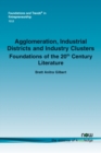 Agglomeration, Industrial Districts and Industry Clusters : Foundations of the 20th Century Literature - Book