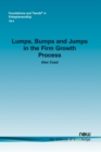 Lumps, Bumps and Jumps in the Firm Growth Process - Book