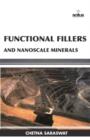 Functional Fillers and Nanoscale Minerals - Book