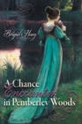A Chance Encounter inPemberley Woods : A Pride and Prejudice Variation - Book