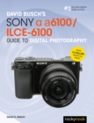 David Busch's Sony Alpha a6100/ILCE-6100 Guide to Digital Photography - eBook