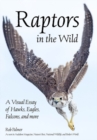 Raptors In The Wild : A Visual Essay of Hawks, Eagles, Falcons, and more. - Book