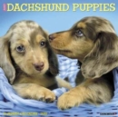 Just Dachshund Puppies 2018 Wall Calendar (Dog Breed Calendar) - Book