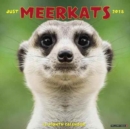 Meercats 2018 Wall Calendar - Book