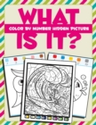 What Is It? : Color by Number Hidden Picture - Book