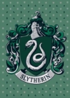 Harry Potter: Slytherin Embellished Card - Book