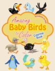 Amazing Baby Birds to Color Coloring Book - Book