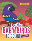 Exotic Baby Birds to Color Coloring Book - Book