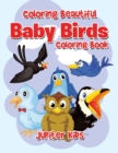 Coloring Beautiful Baby Birds Coloring Book - Book