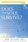 Does the Soul Survive? (2nd Edition) : A Jewish Journey to Belief in Afterlife,  Past Lives & Living with Purpose - Book