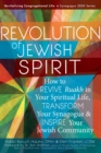 Revolution of the Jewish Spirit : How to Revive <em>Ruakh</em> in Your Spiritual Life, Transform Your Synagogue & Inspire Your Jewish Community - Book