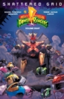 Mighty Morphin Power Rangers Vol. 8 - Book